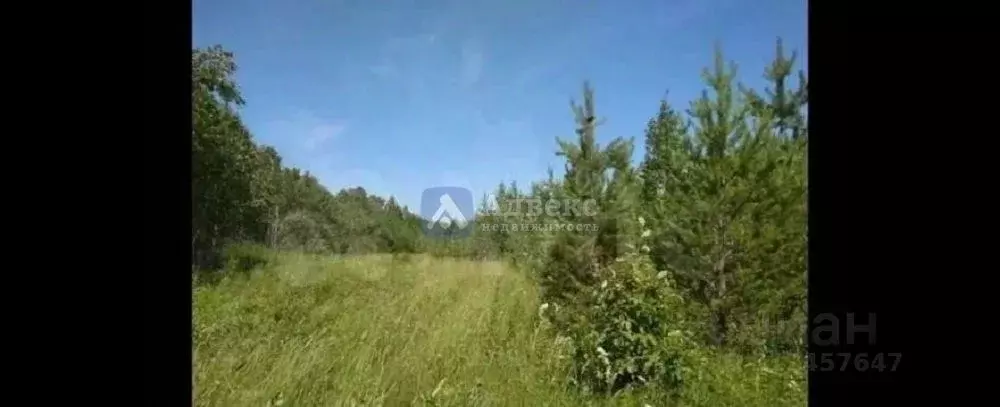 Участок в Тюменская область, Тюменский район, Новокаменский кп  (7.89 ... - Фото 0