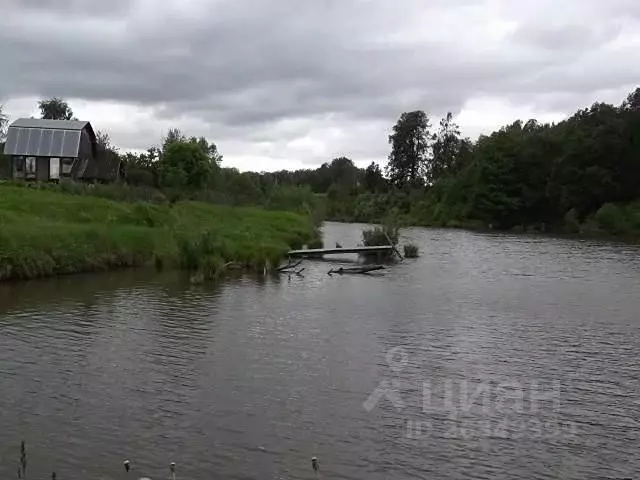 участок в тульская область, ясногорский район, ревякинское . - Фото 1