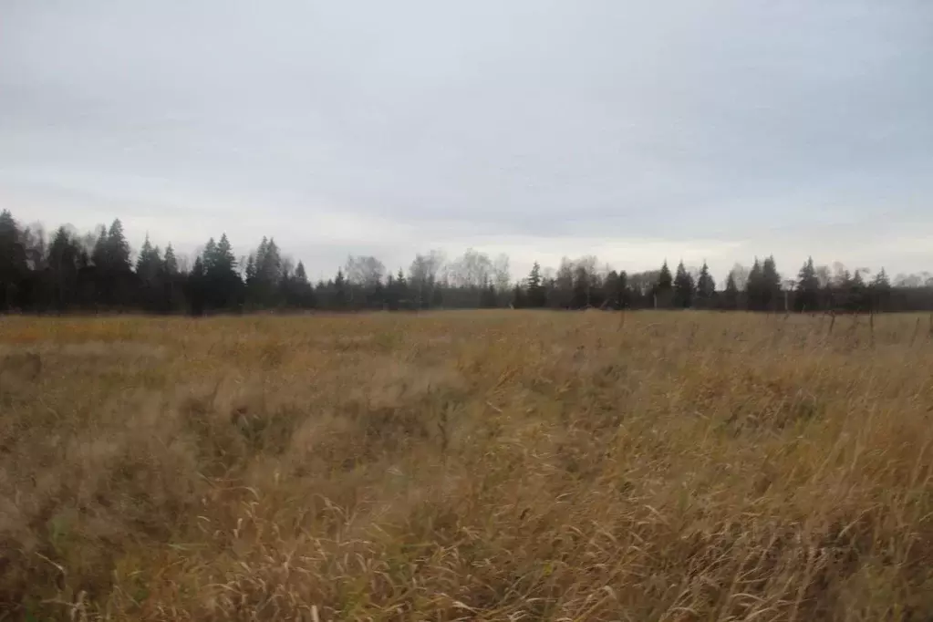 Участок в Московская область, Шаховская муниципальный округ, с. Белая ... - Фото 1