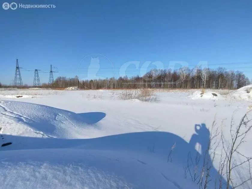 Участок в Тюмень, КП Свои (10.4 м) - Фото 0