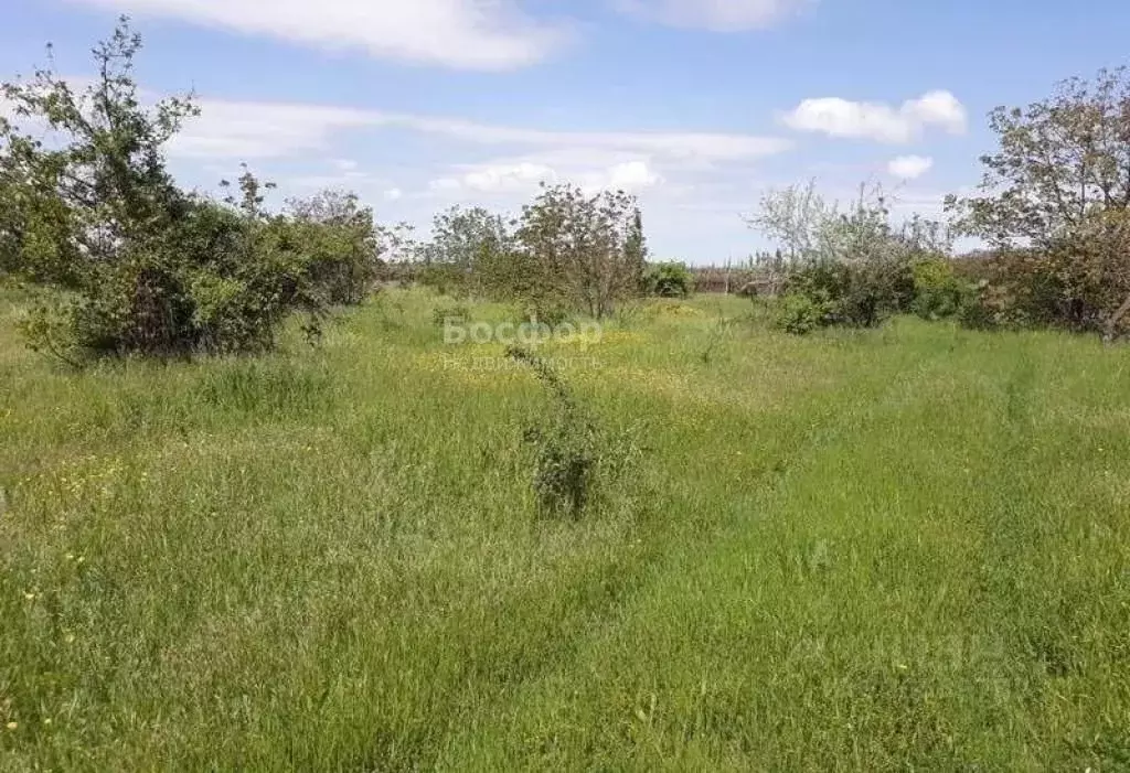 Участок в Крым, Кировский район, Журавское с/пос, с. Видное ул. ... - Фото 1