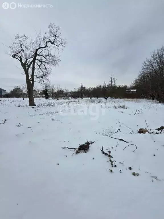 Участок в посёлок городского типа Янтарный, Железнодорожная улица (24 ... - Фото 1