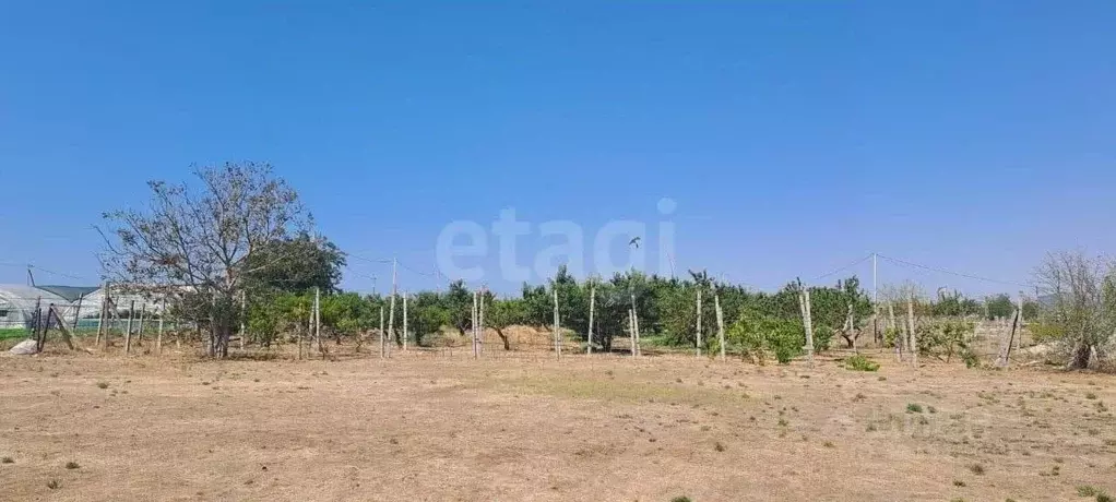 Участок в Крым, Сакский район, Ореховское с/пос, с. Михайловка, Пчелка ... - Фото 2