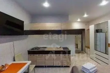 Студия Новосибирская область, Новосибирск Трудовая ул., 14 (20.0 м) - Фото 1