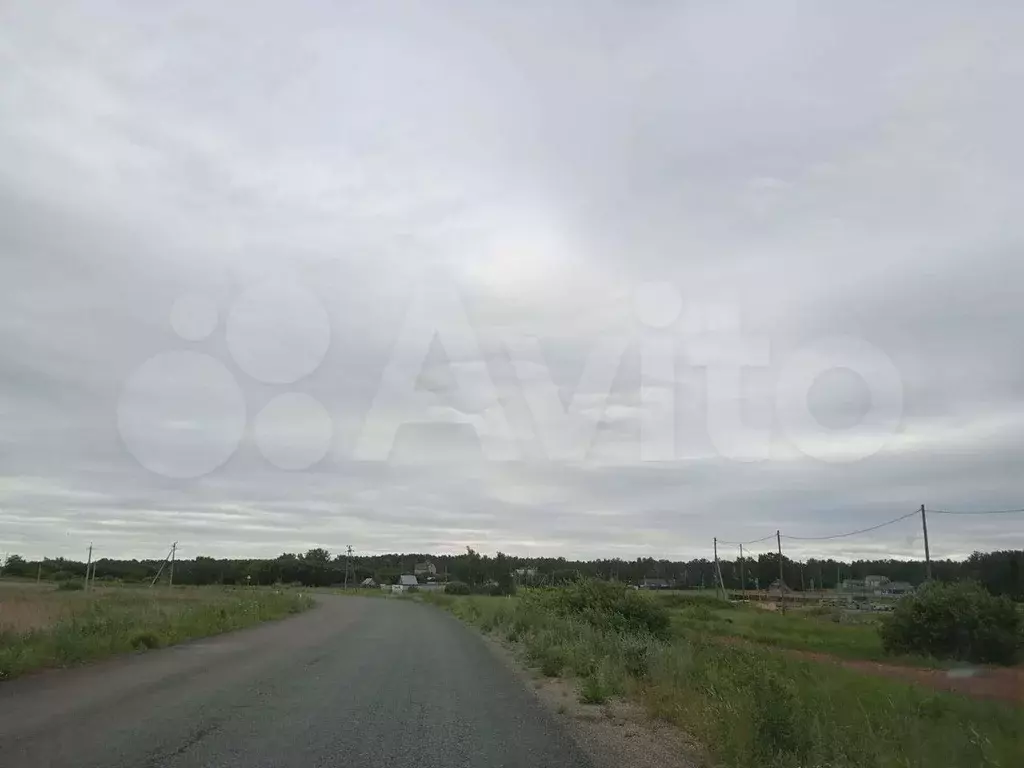 Село камышинка. Средняя камышинка. Камышинка деревня. Ясниково, с/т «ясниково». Село камышинка.