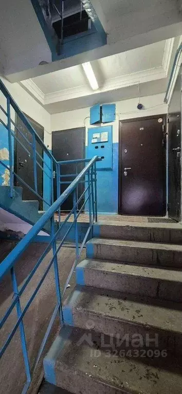 3-к кв. Московская область, Богородский городской округ, д. Караваево ... - Фото 2