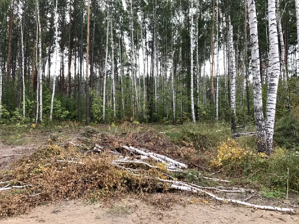 Участок в Новосибирская область, с. Новолуговое ул. Уральская (10.0 ... - Фото 1