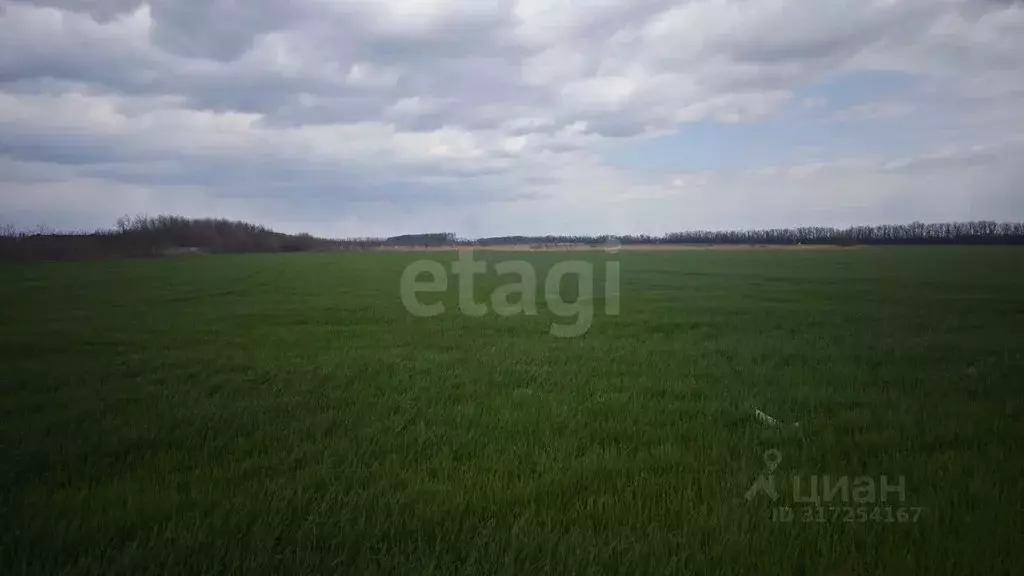 Участок в Ростовская область, Мясниковский район, Красный Крым хут. ... - Фото 0