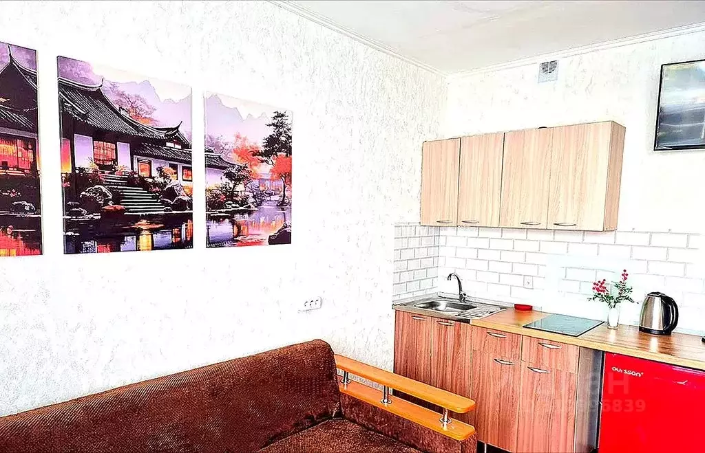 Студия Челябинская область, Чебаркуль ул. Карпенко, 2 (24.0 м) - Фото 1