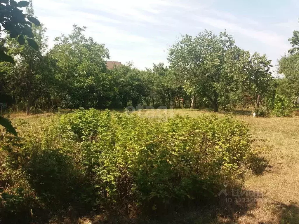 Дом в Ростовская область, Азовский район, Елизаветинское с/пос, Курган ... - Фото 1