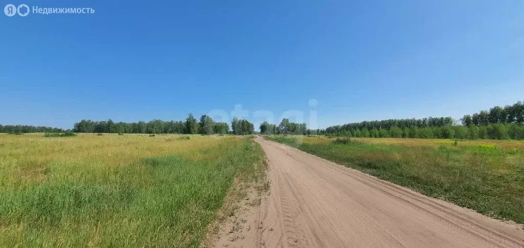 Участок в Омский район, село Усть-Заостровка (10.64 м) - Фото 1