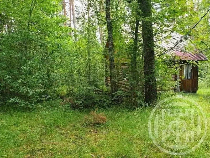 Дом в Ленинградская область, Выборгский район, Приморское городское ... - Фото 1