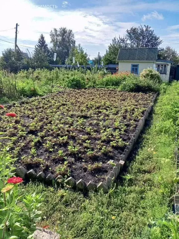 Дом в Омск, территория СОСН Степняк-1 (20 м) - Фото 1