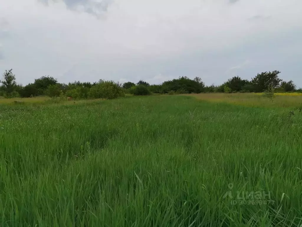 Участок в Белгородская область, Белгородский район, Тавровское с/пос, ... - Фото 0