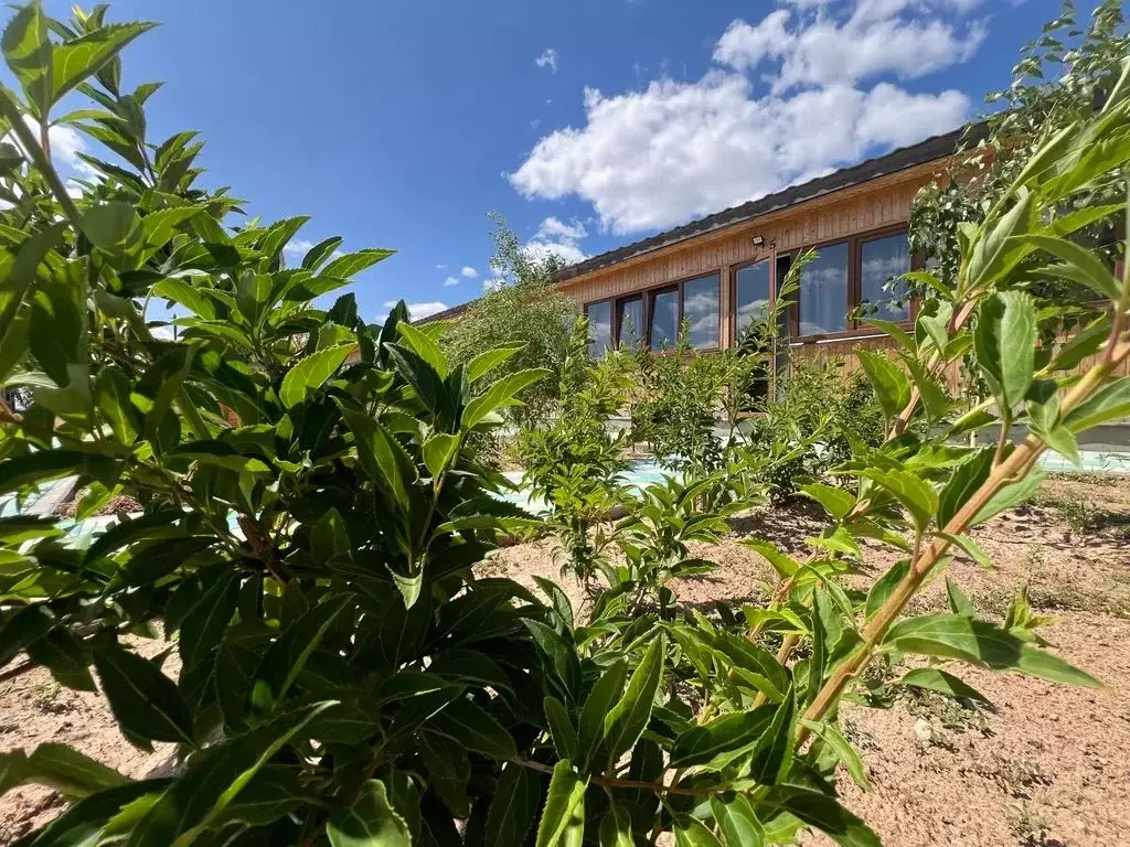 Дом в Астраханская область, Ахтубинск Затонская ул., 5 (55 м) - Фото 2