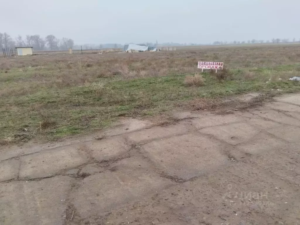 Участок в Волгоградская область, Среднеахтубинский район, Кировское ... - Фото 0