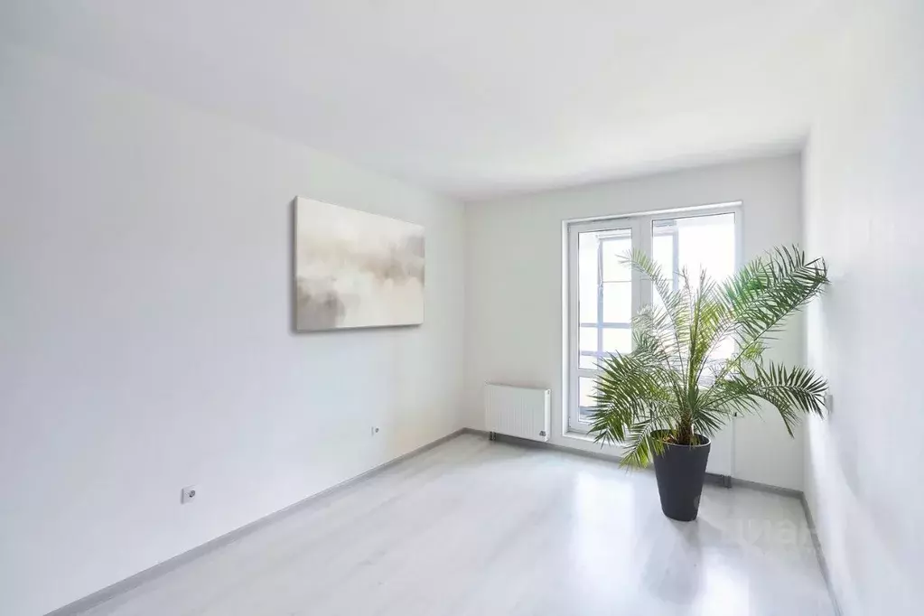 Студия Санкт-Петербург просп. Буденного, 19к2 (23.9 м) - Фото 0