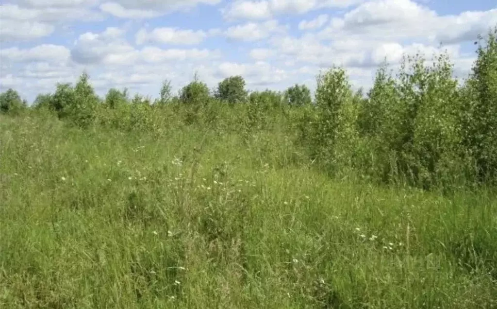 Участок в Тверская область, Кимрский муниципальный округ, пос. ... - Фото 1