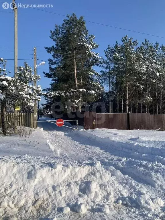 Участок в Рамонский район, Новоживотинновское сельское поселение, СНТ ... - Фото 2