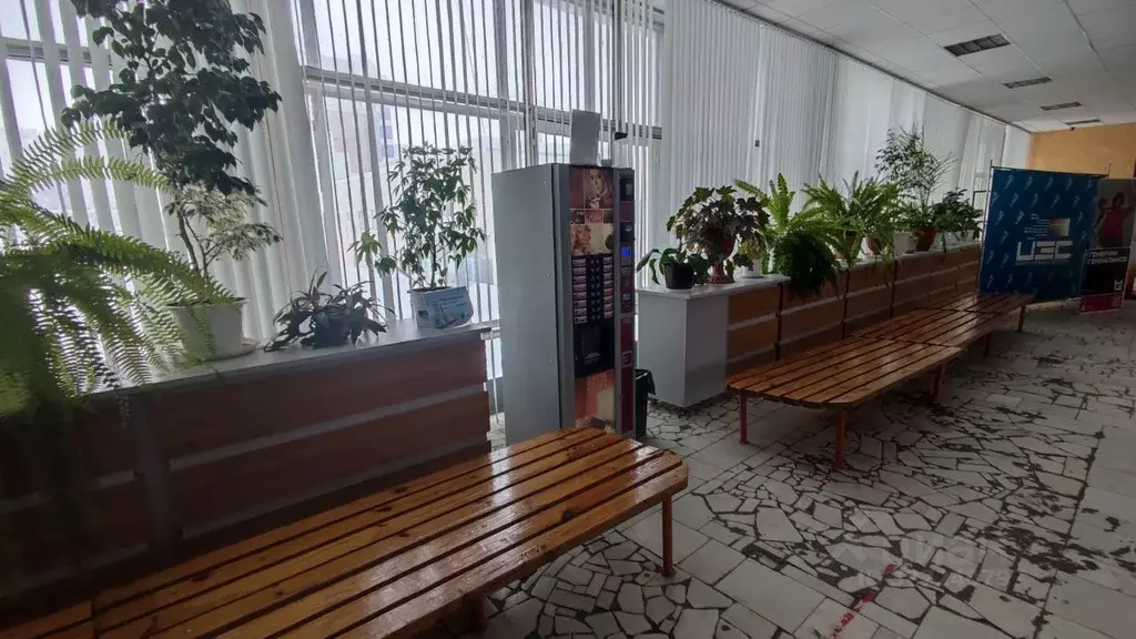 Помещение свободного назначения в Мордовия, Саранск ул. Богдана ... - Фото 2