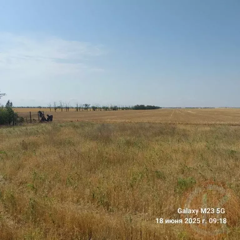 Участок в Крым, Черноморский район, с. Новоивановка  (100.0 сот.) - Фото 1
