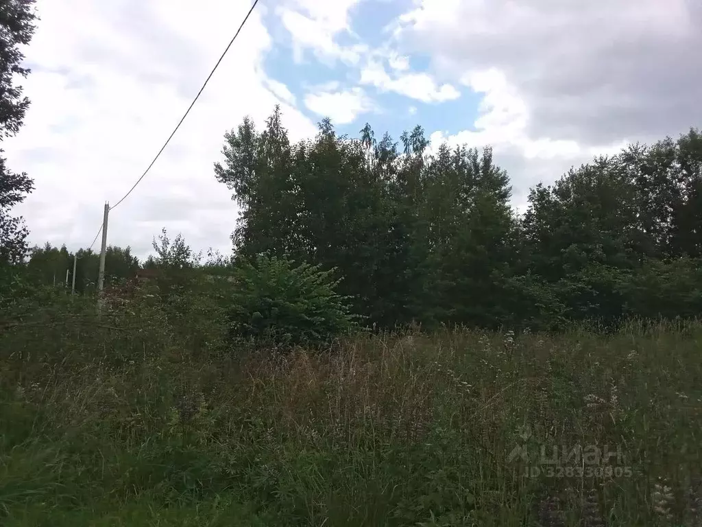 Участок в Ленинградская область, Лужский район, Заклинское с/пос, ... - Фото 2