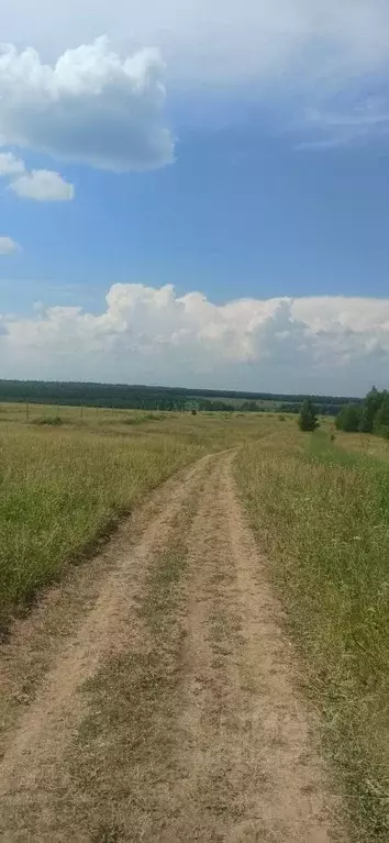Участок в Нижегородская область, Дальнеконстантиновский муниципальный ... - Фото 1