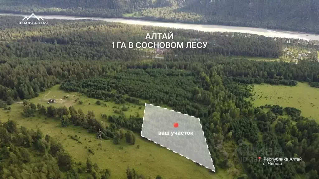 Участок в Алтай, Чемальский район, с. Чепош  (1.0 га.) - Фото 1