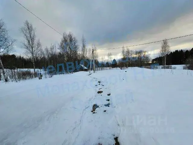 Дом в Новгородская область, Валдайский район, Едровское с/пос, д. ... - Фото 2