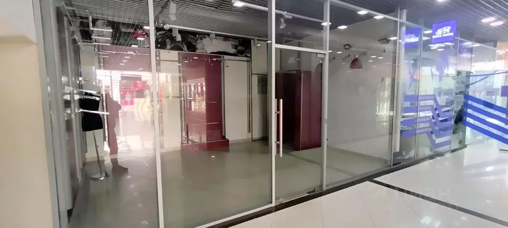 Помещение свободного назначения в Владимирская область, Владимир ... - Фото 1