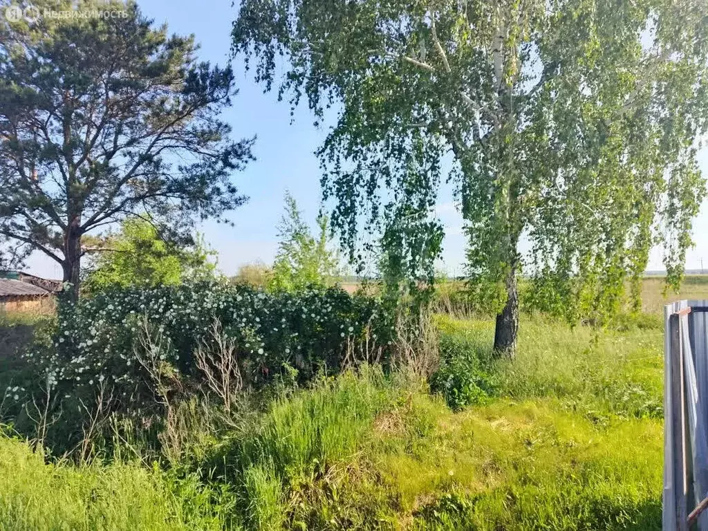 Участок в село Абатское, улица Свободы (1000 м) - Фото 1