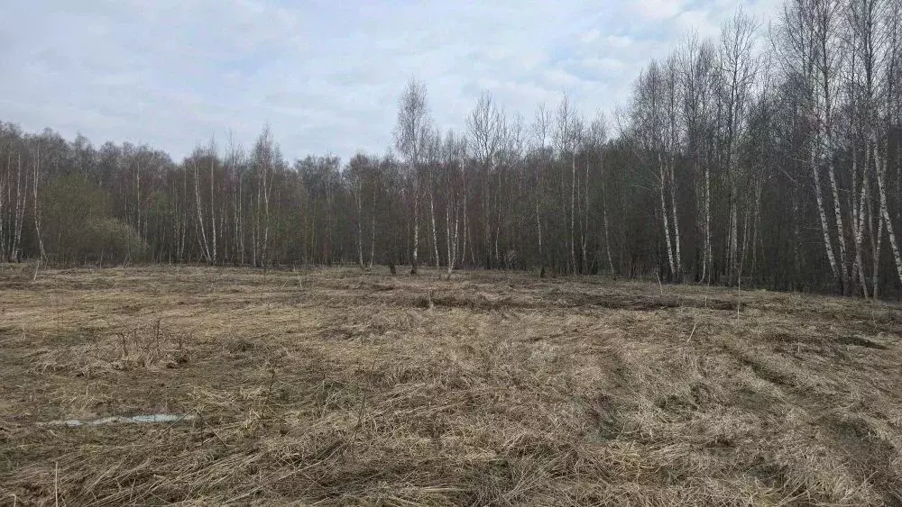 Участок в Московская область, Ступино городской округ, д. Дубнево ул. ... - Фото 1