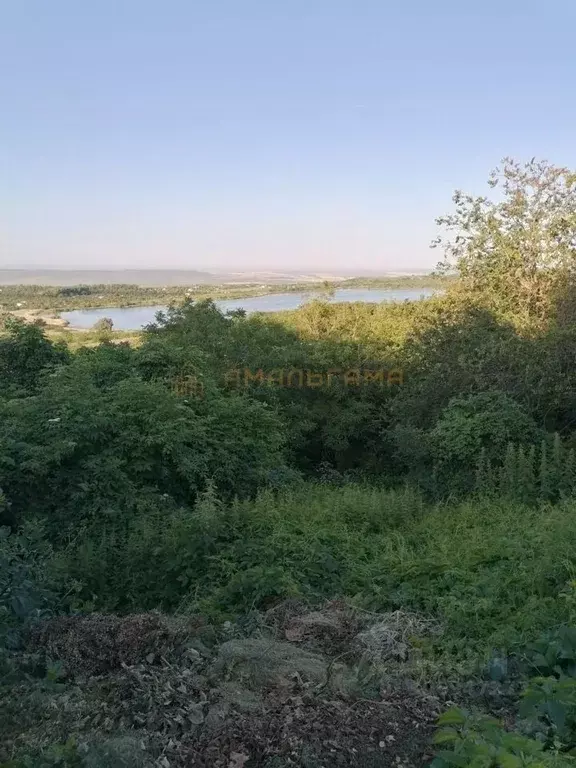 Участок в Ставропольский край, Ставрополь Лесник садоводческое ... - Фото 1