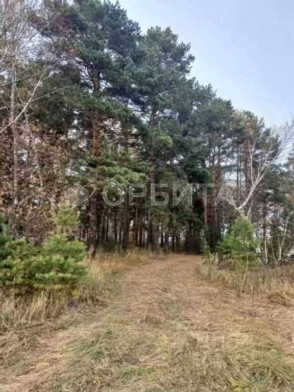 Участок в Тюменская область, Тюменский муниципальный округ, пос. ... - Фото 1