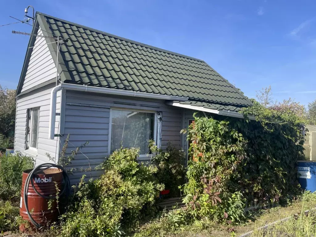 Дом в Омская область, Омск СОСН Любитель-2 тер., 355 (20 м) - Фото 1