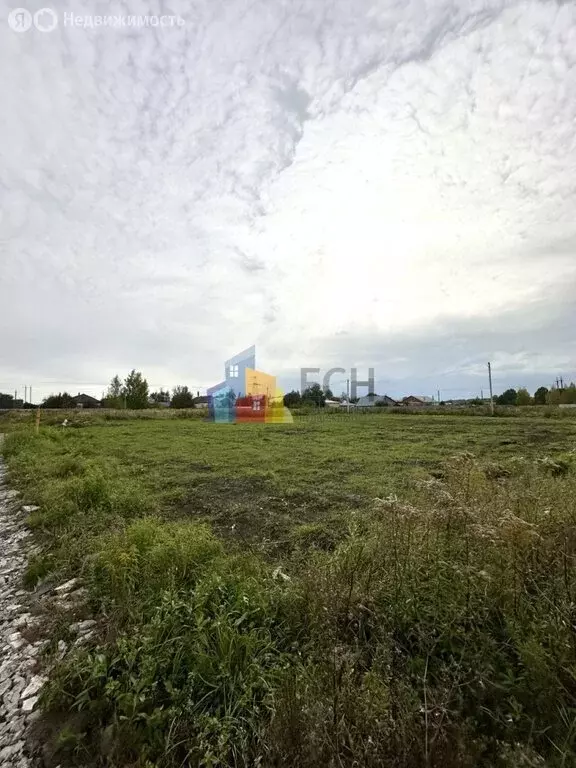 Участок в Киреевский район, сельское поселение Бородинское (6 м) - Фото 1