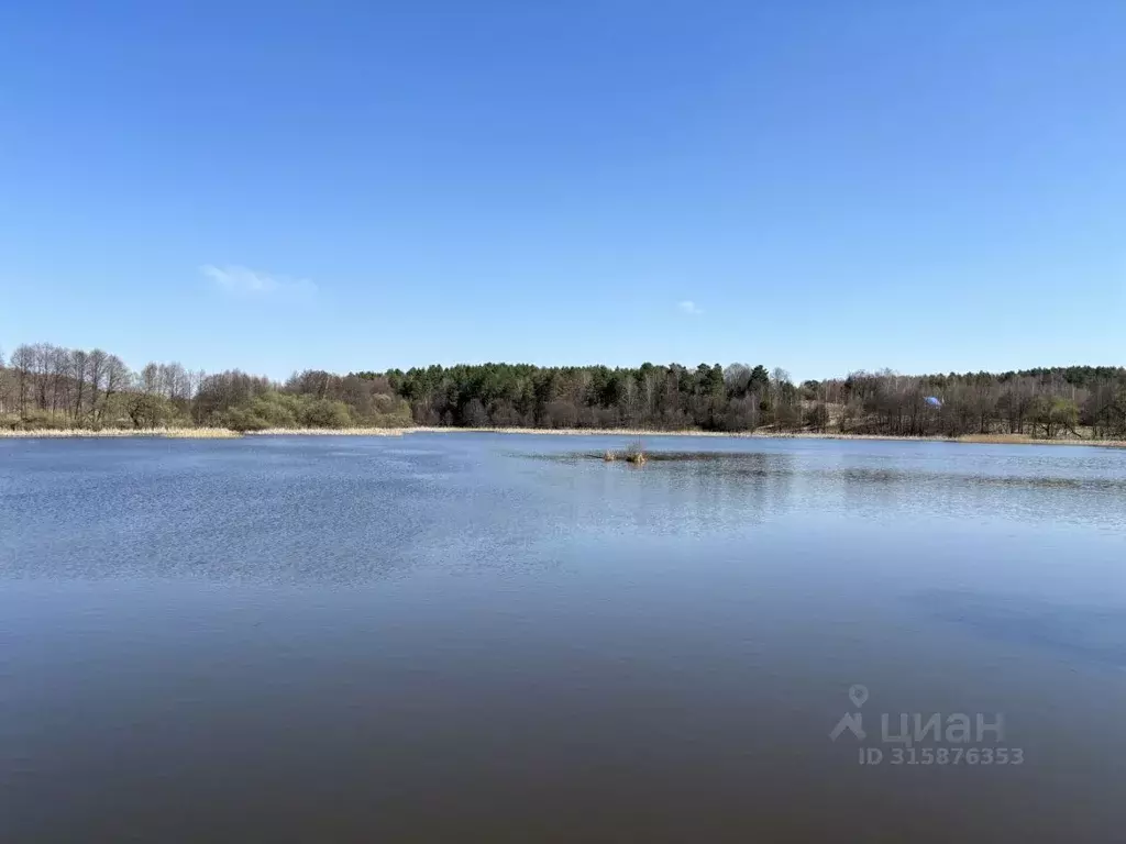 Участок в Калужская область, Дзержинский район, Барсуки с/пос, д. ... - Фото 1