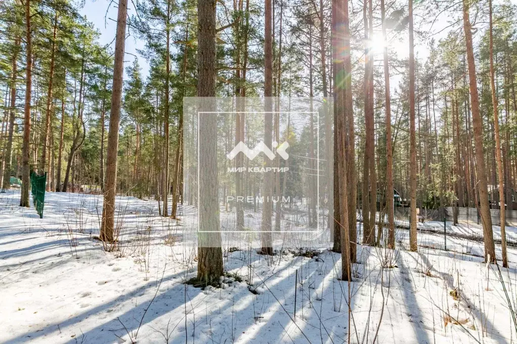 Участок в Санкт-Петербург пос. Солнечное, ул. 1-я Боровая (24.0 сот.) - Фото 1