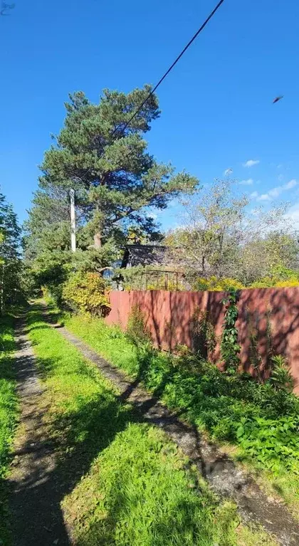 Участок в Хабаровский край, Хабаровск Штурманская ул. (6.5 сот.) - Фото 0