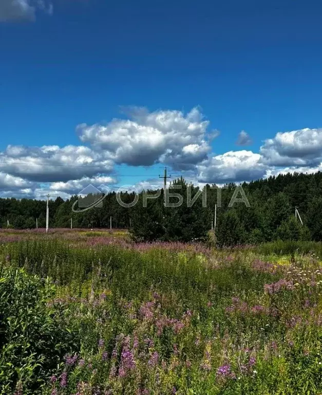 Участок в Тюменская область, Тюменский район, д. Пышминка Молодежная ... - Фото 1