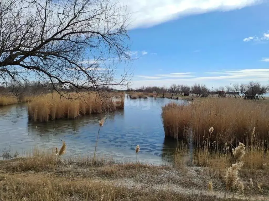 Участок в Крым, Черноморский район, с. Межводное ул. Советская, 28А ... - Фото 0