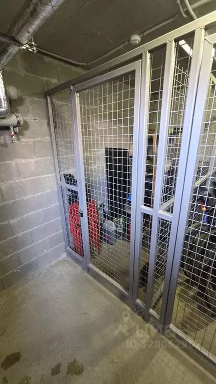 Гараж в Ленинградская область, Сертолово Всеволожский район, ... - Фото 1