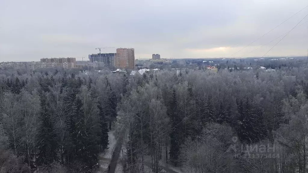 1-к кв. Ленинградская область, Сертолово Всеволожский район, Заречная ... - Фото 1