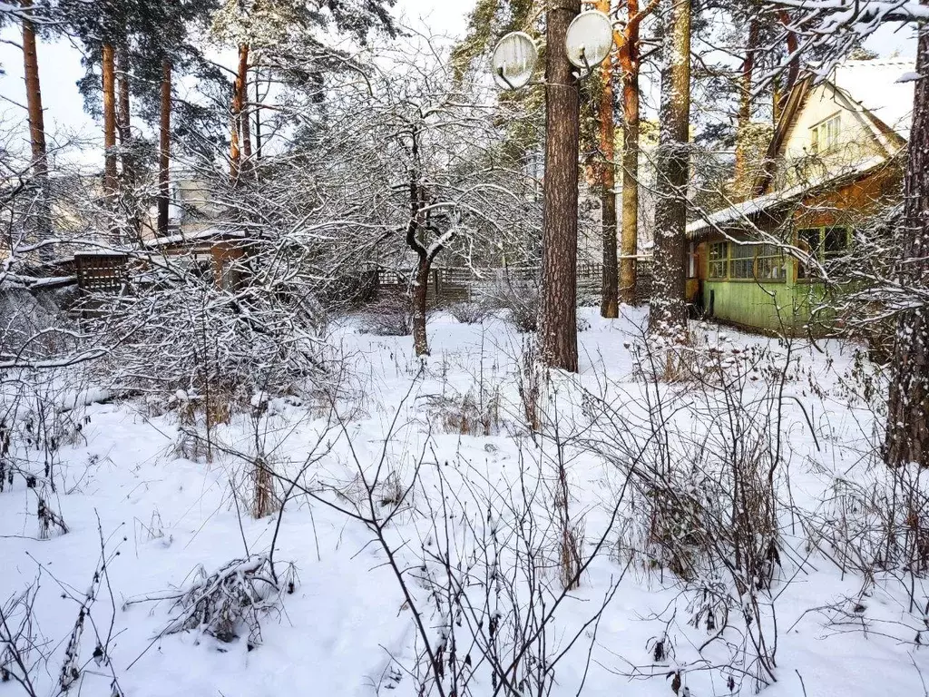 Дом, 41.9 м - Фото 1