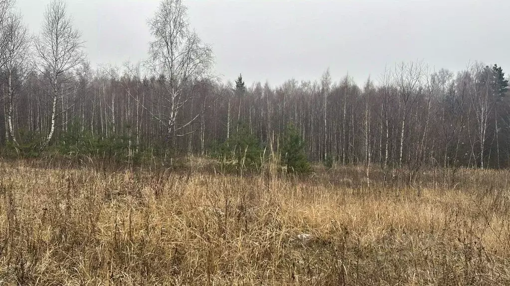Участок в Московская область, Ступино пер. 1-й Знаменский (10.0 сот.) - Фото 1
