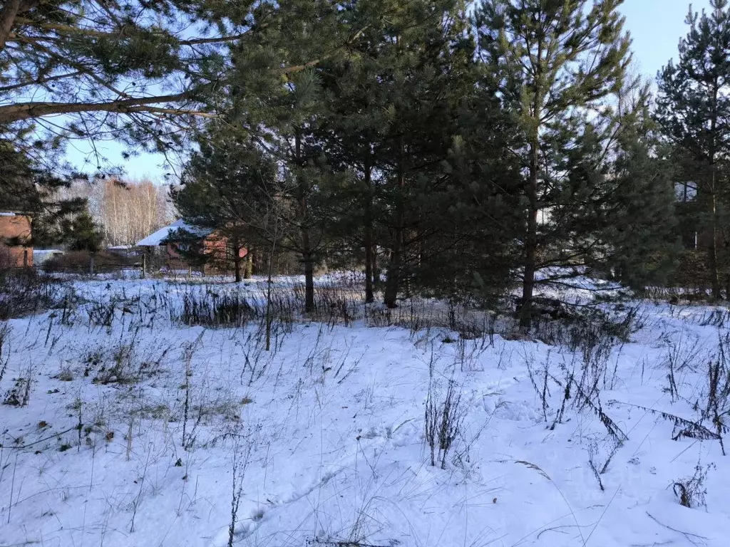 Участок в Московская область, Раменский муниципальный округ, Лесная ... - Фото 2