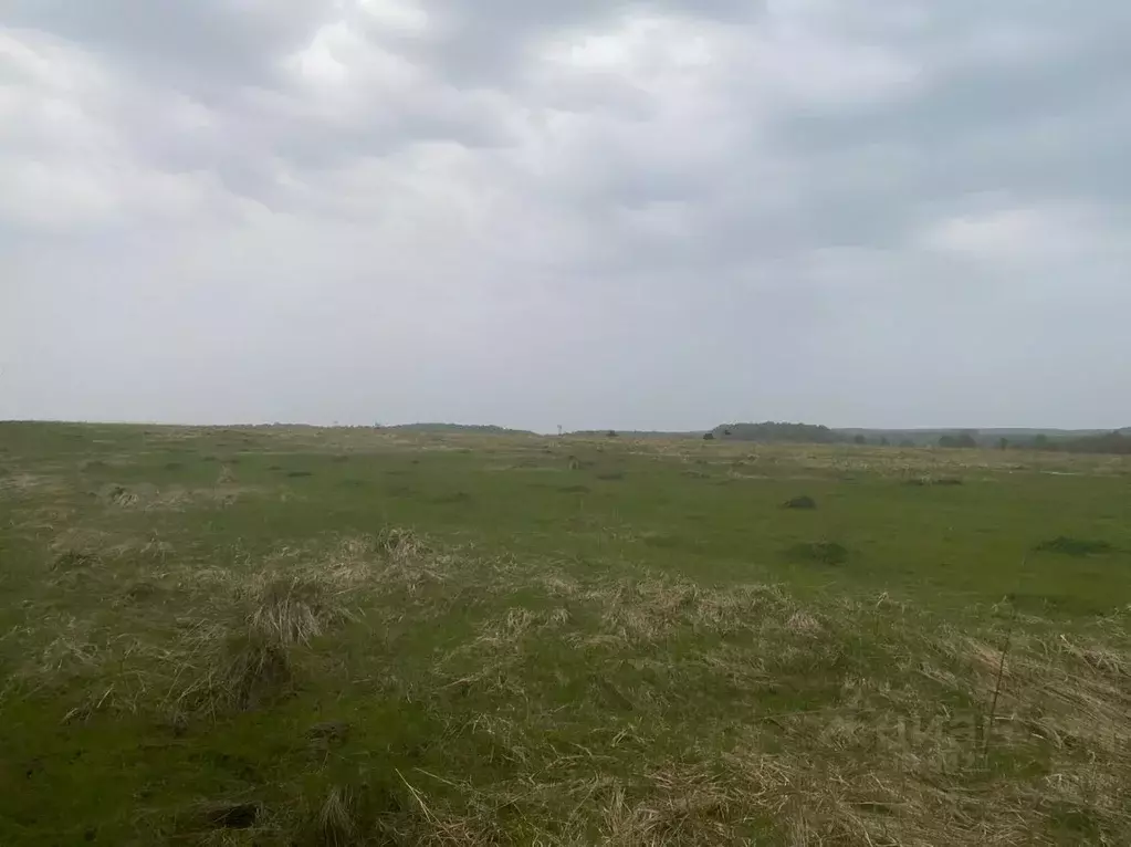 участок в тульская область, алексинский район, с. казначеево (520.0 . - Фото 1