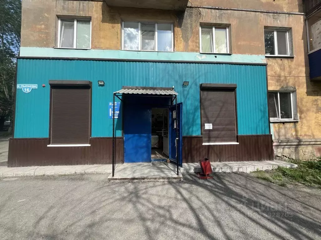 Торговая площадь в Свердловская область, Нижний Тагил ул. Константина ... - Фото 0