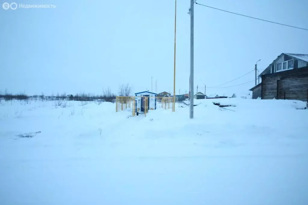 Участок в Новый Уренгой, дачное некоммерческое товарищество Виктория, ... - Фото 1