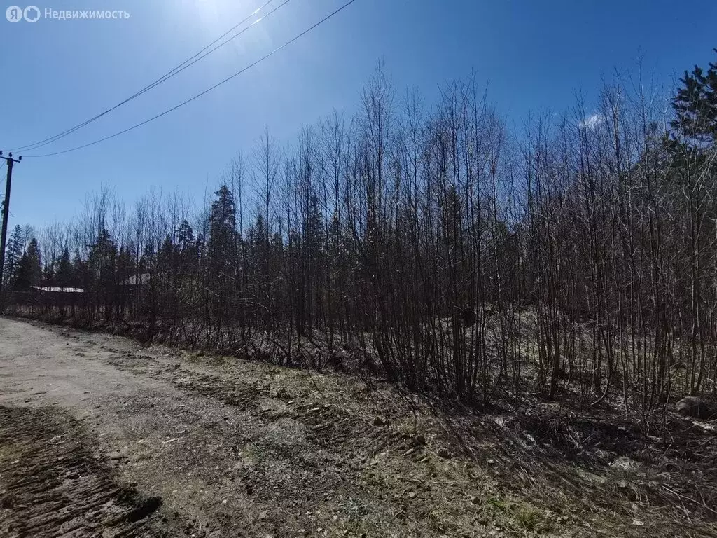 Участок в посёлок Новая Вилга, жилой массив Чистые Ключи (12 м) - Фото 1